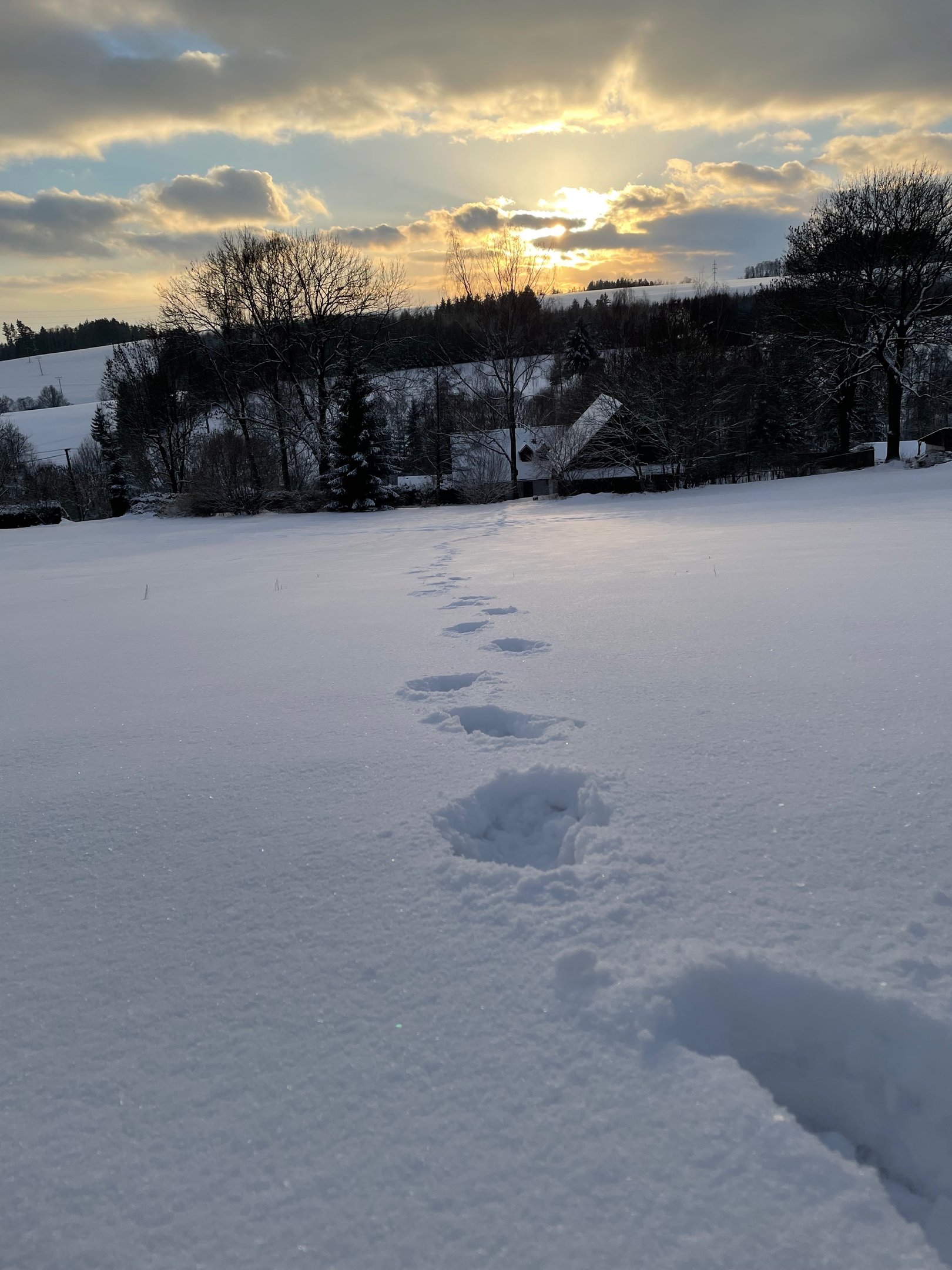 footprints prints of footprints in the snow