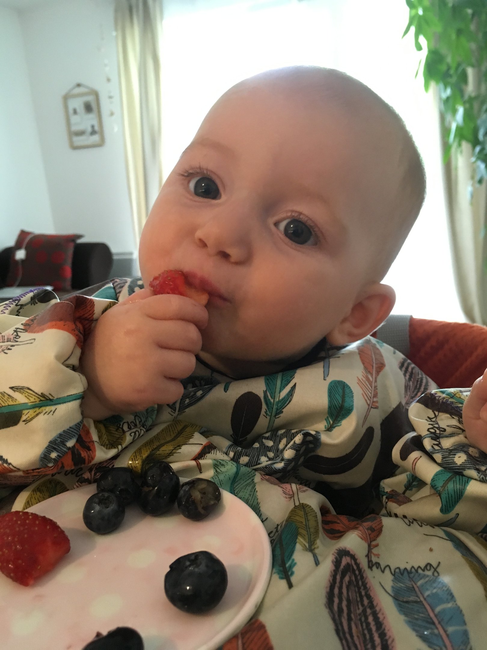 Bébé commençant la diversification alimentaire, mangeant des fruits