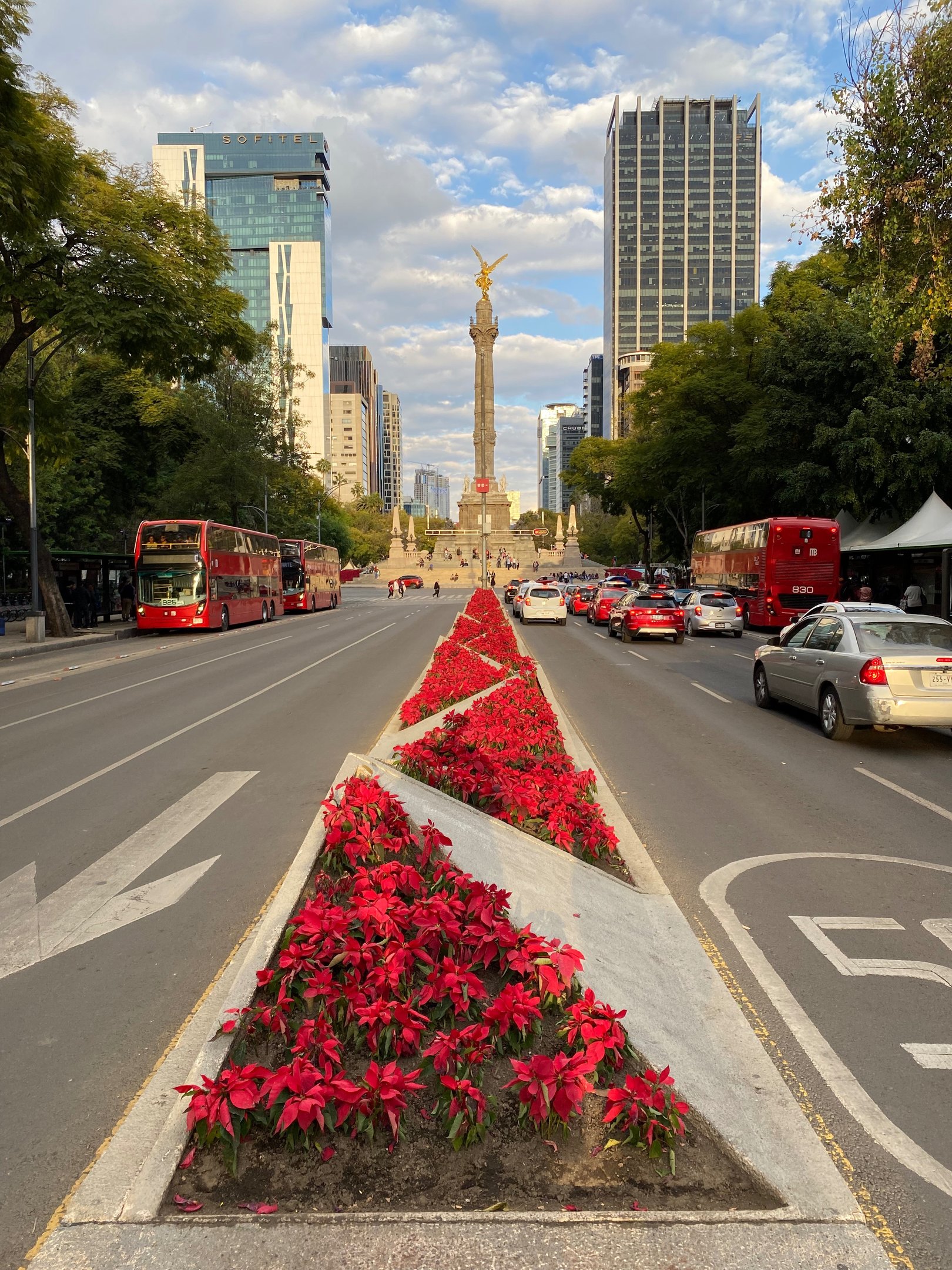 Paseo de Reforma, Ciudad de México de día | Reserva Transporte Turístico y Ejecutivo en CDMX