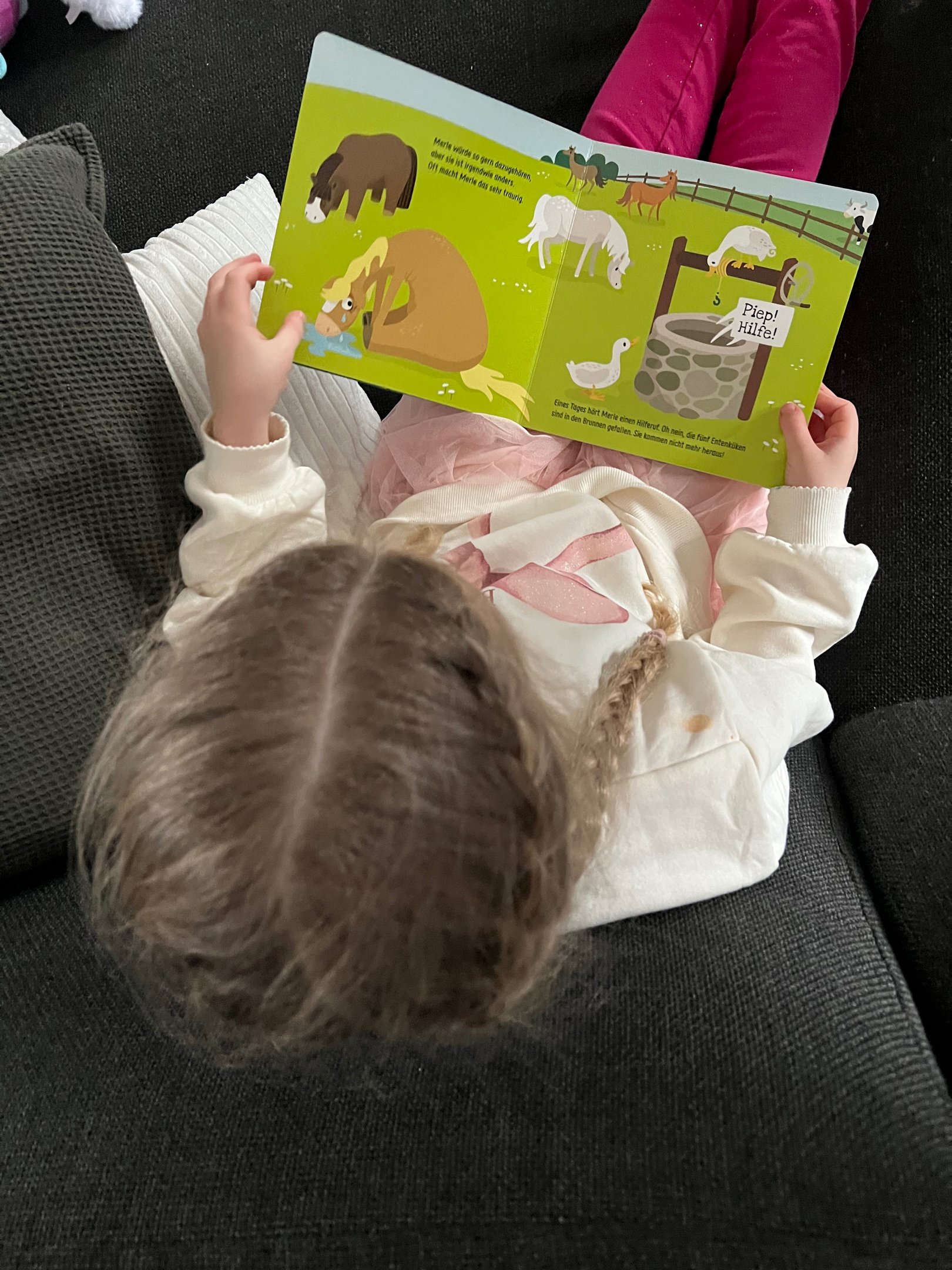 Blick in das Buch Anders Super