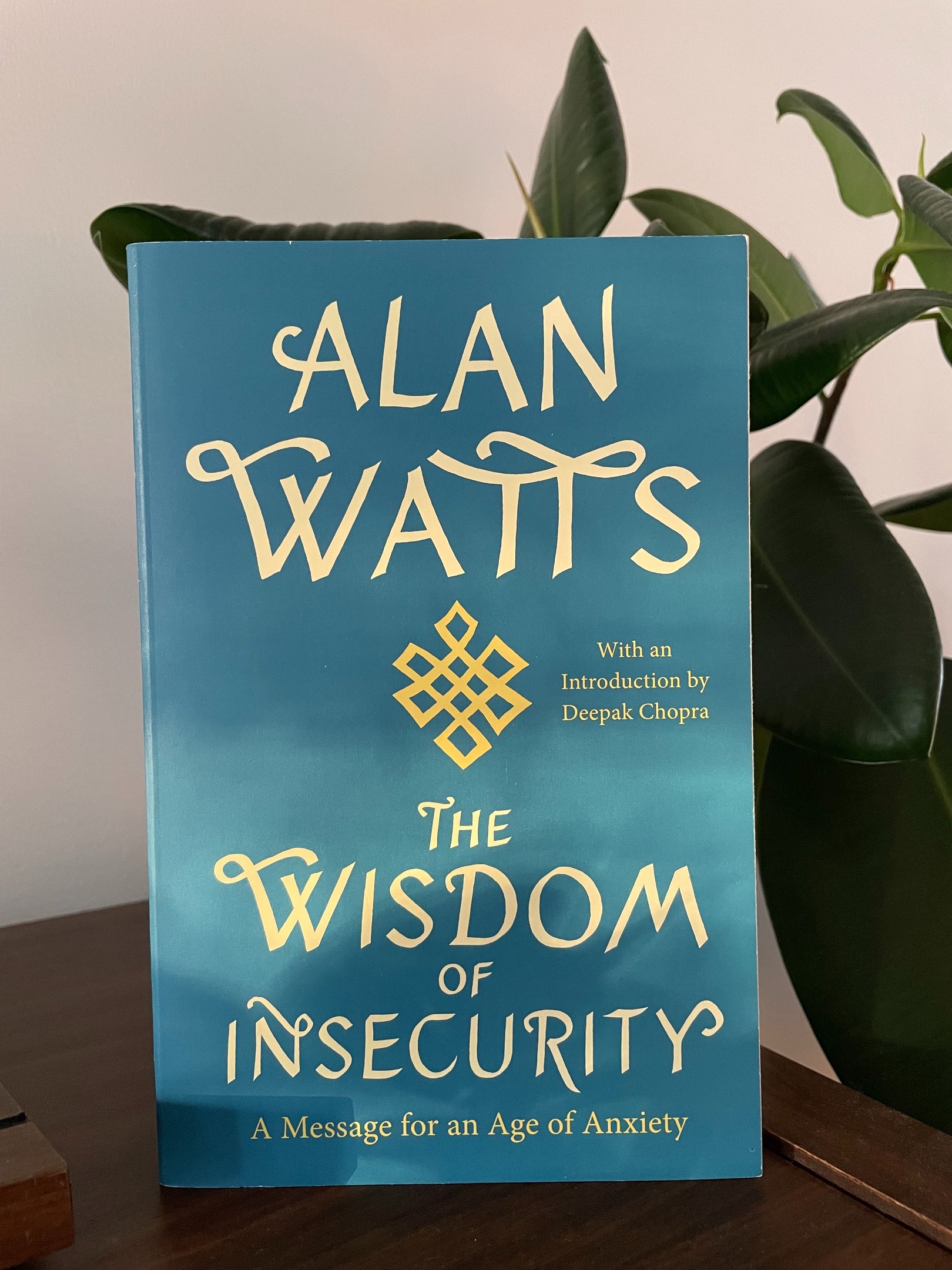 a book cover of the wisdom of insecurity