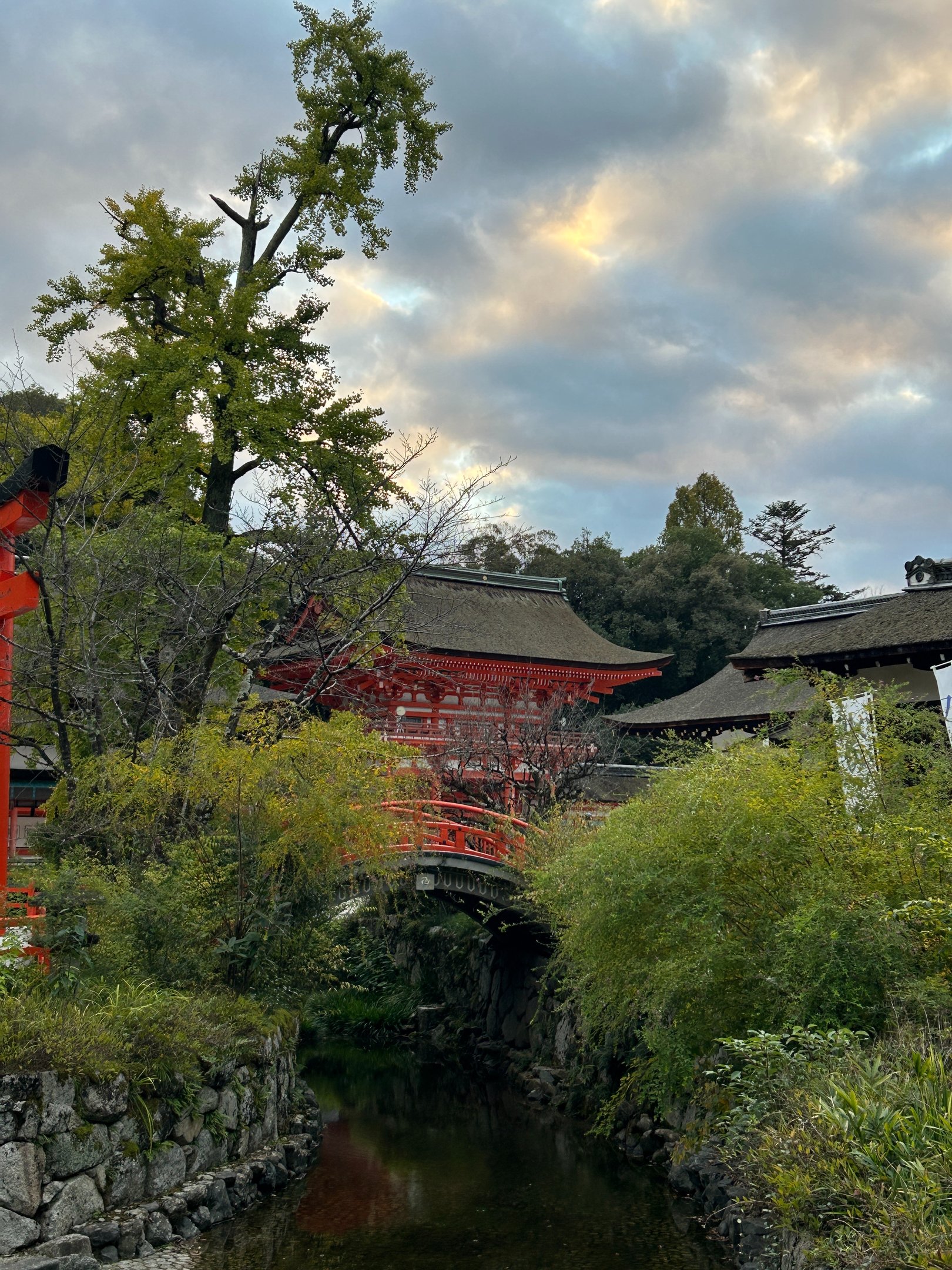 Vue de la porte du temple Shimogamo à travers les arbres