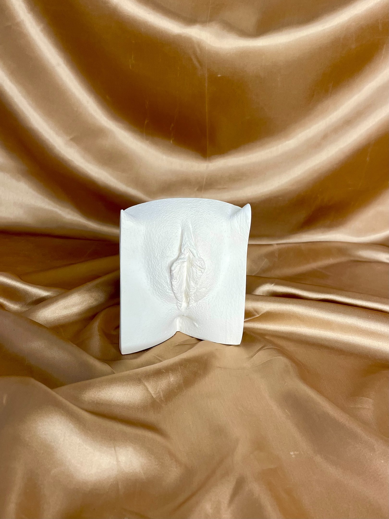 Vulve en plâtre sur fond doré - Moulage intime Bordeaux