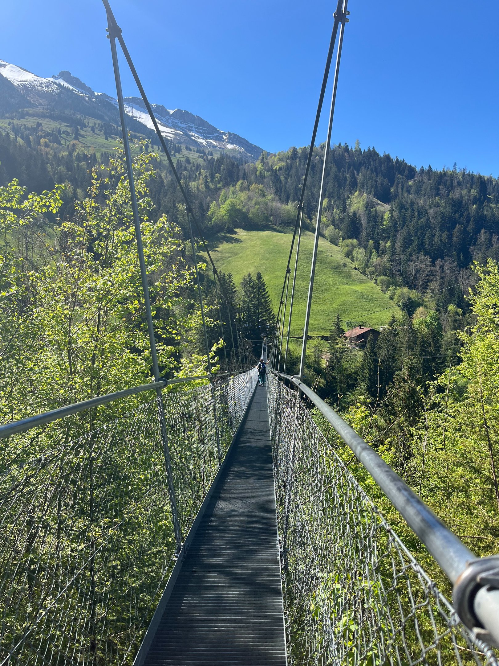 Looking down Hangebrucke Hostalde outside of Frutigen