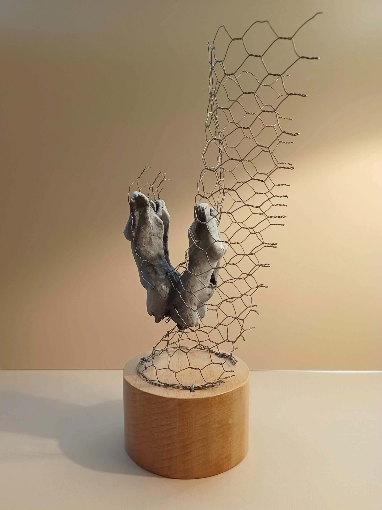 A sculpture of two female torsos, back to back, surrounded by wire netting, painted blue-greys