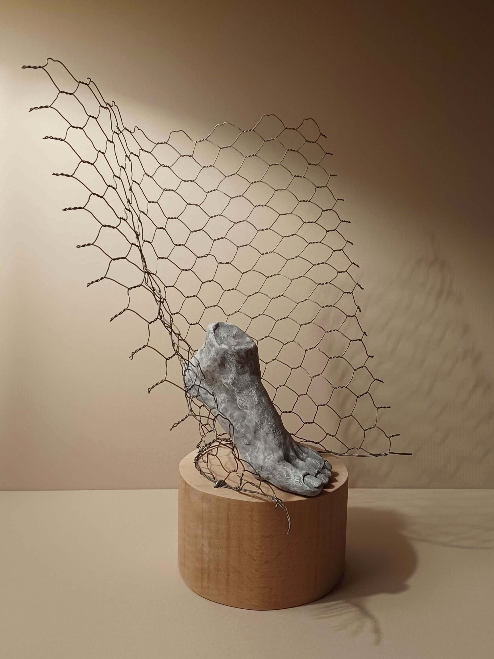 A sculpture of a single foot resting on toes, surrounded by wire netting, painted blue-greys
