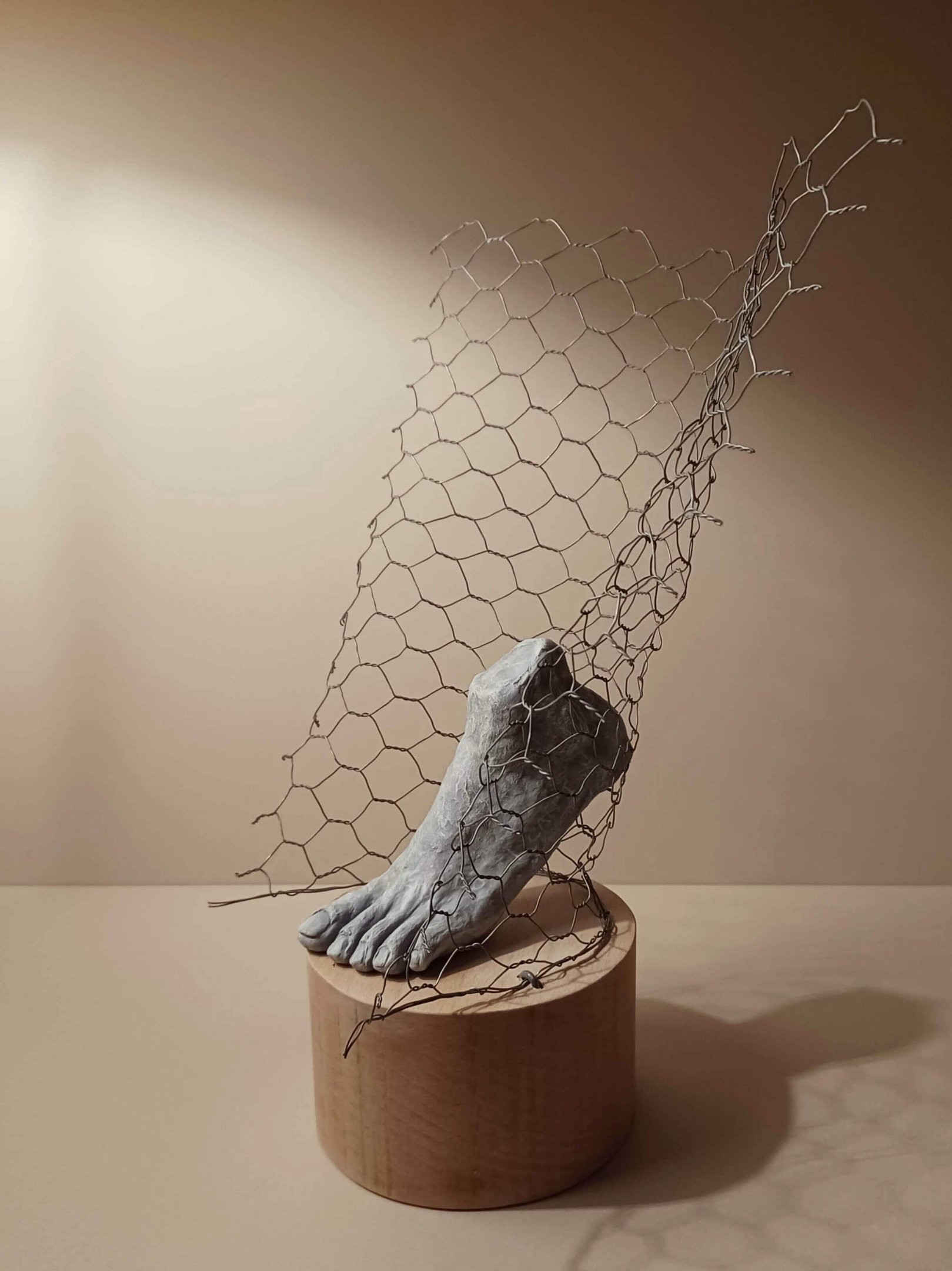 A sculpture of a single foot resting on toes, surrounded by wire netting, painted blue-greys