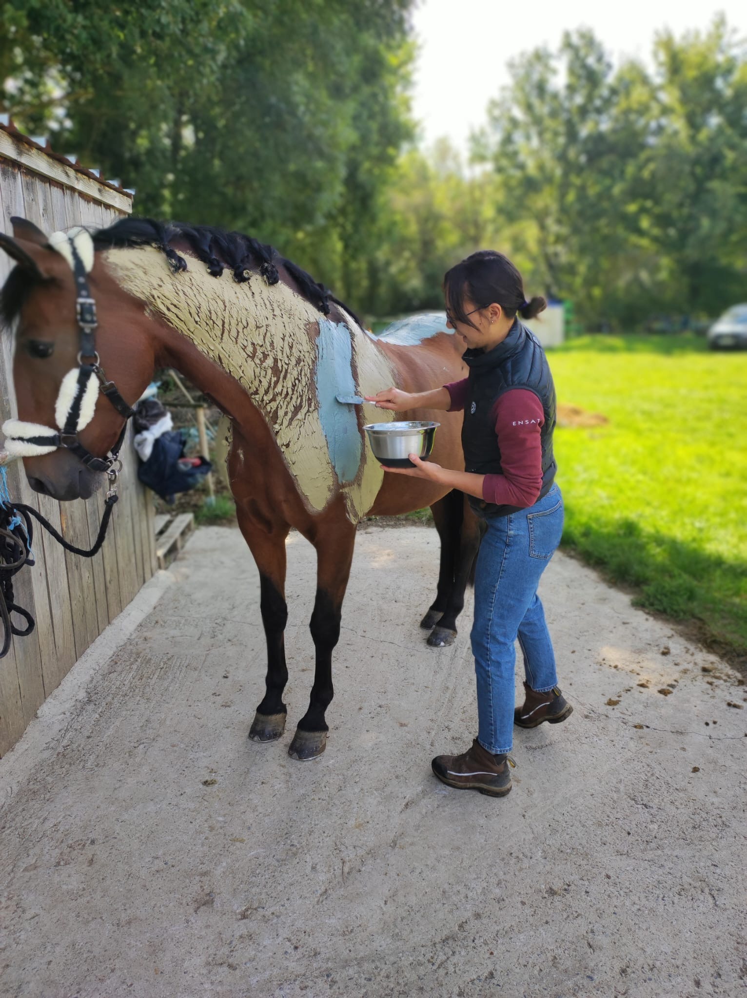 Enveloppement aux algues cheval