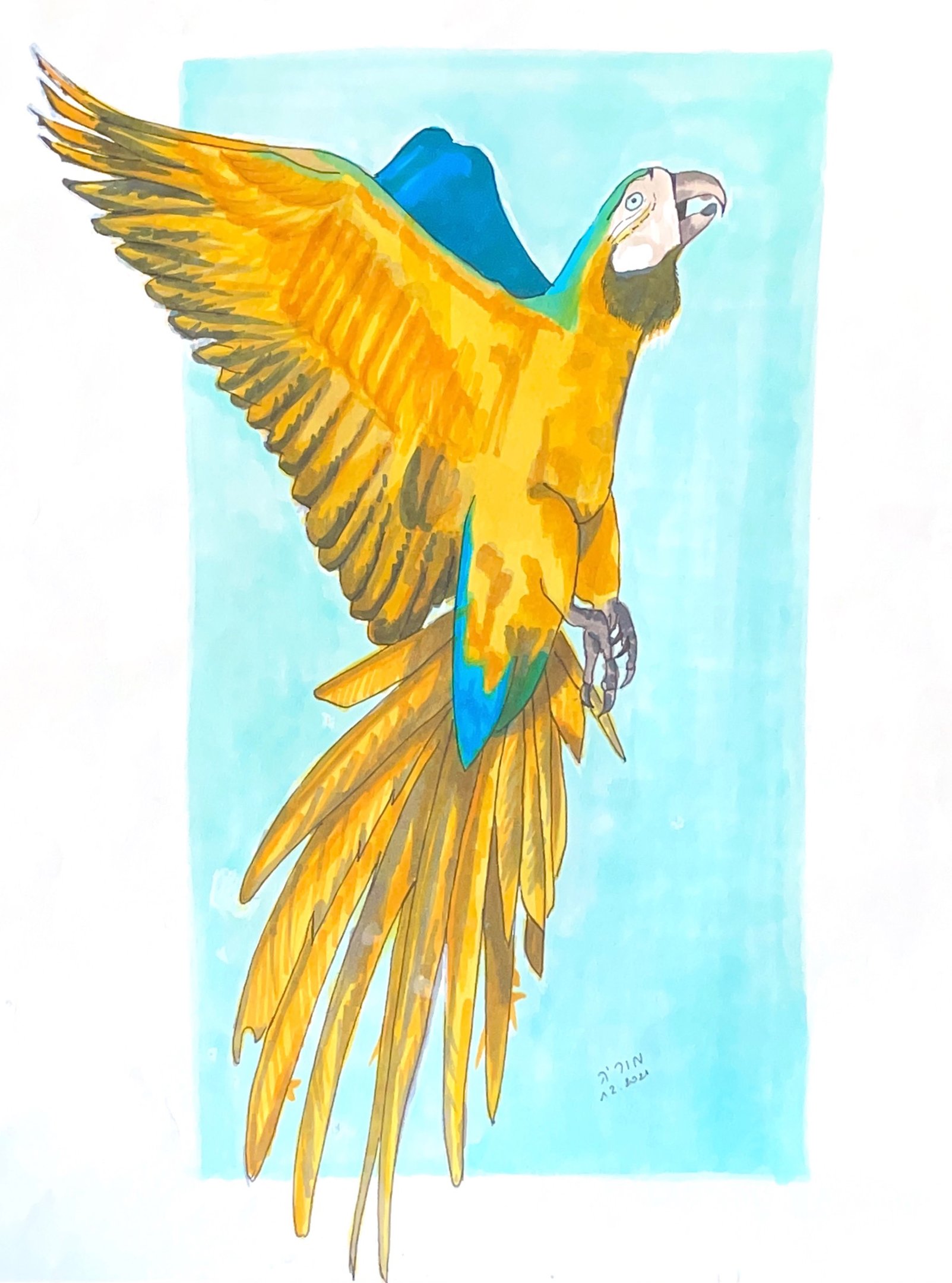 Parrot taking flight