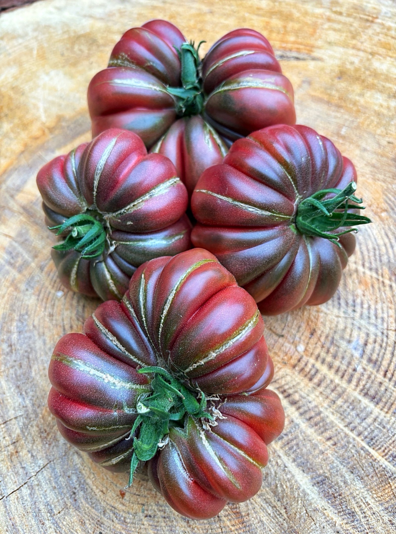 Zapotec Brown Flesh tomato – ribbed heirloom variety with rich, sweet flavour and deep reddish-brown flesh
