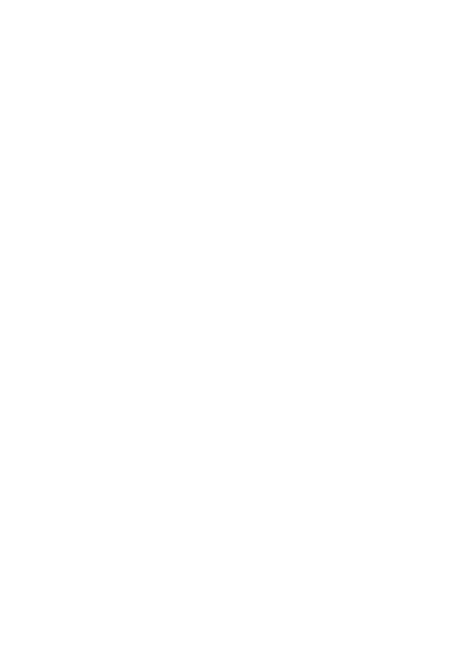Ineca Conseil