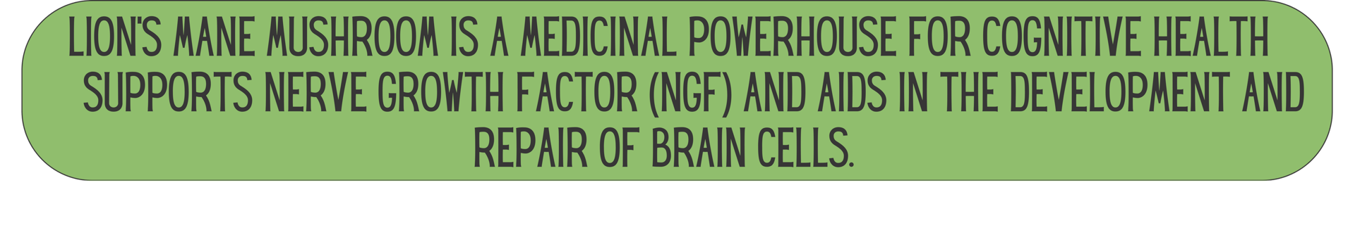 Mane Brain™ offers premium mushroom-based wellness products designed to support focus, memory,.