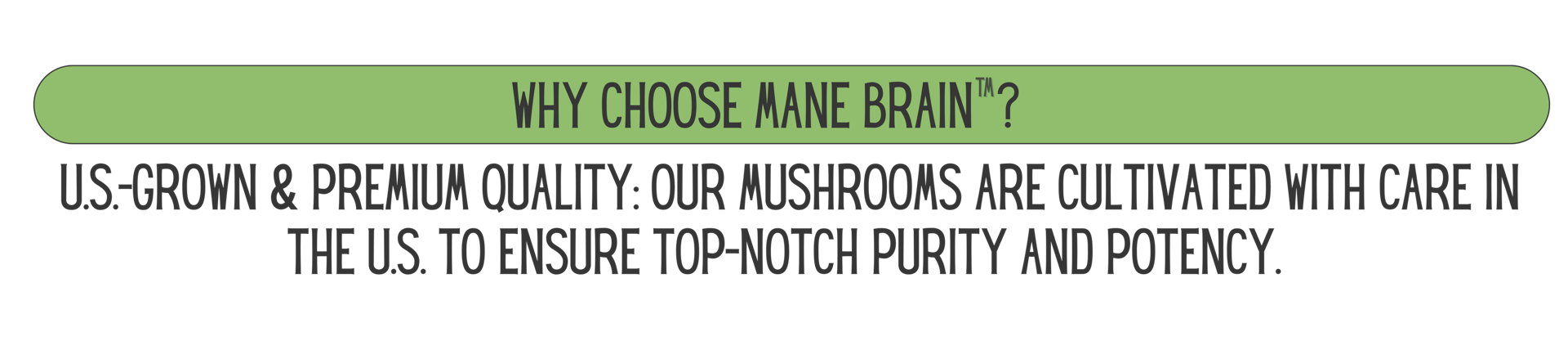 Mane Brain™ offers premium mushroom-based wellness products designed to support focus, memory,.