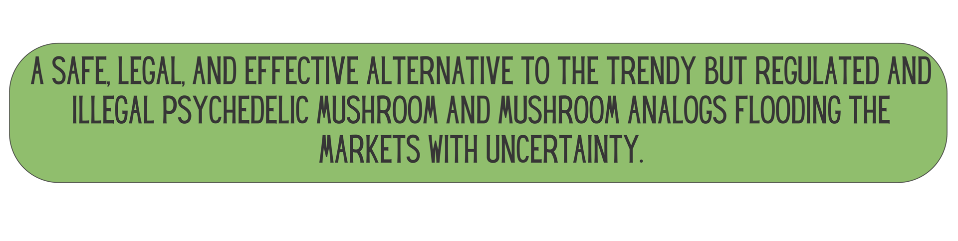 Mane Brain™ offers premium mushroom-based wellness products designed to support focus, memory,.