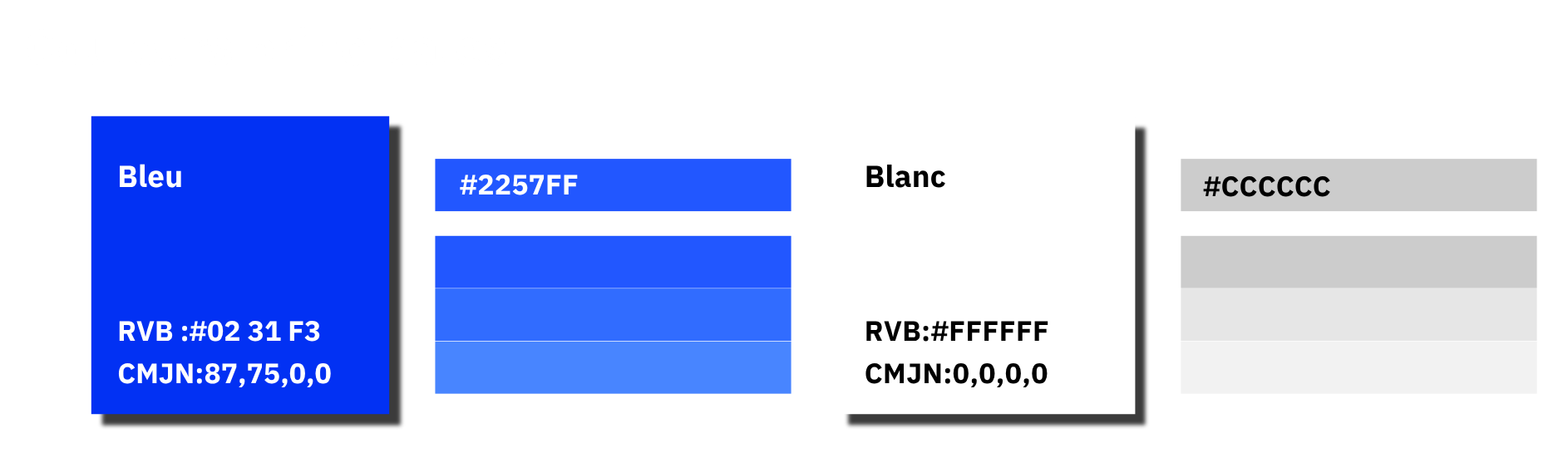 Palette de couleurs primaire avec des échantillons et les codes RGB et CMJN.