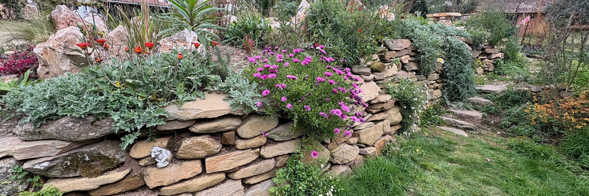 Natural pool integrated into the landscape — of the place, not on it