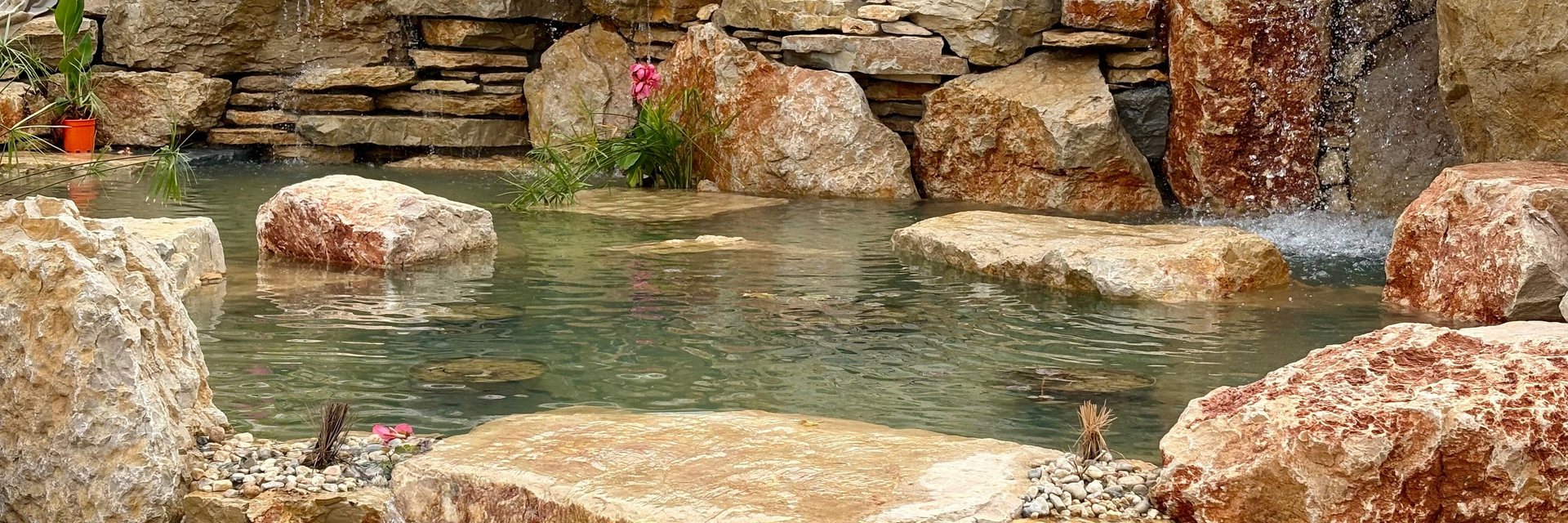 Natural pool conversion — transforming chemical pool to living water system