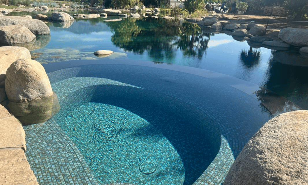 Piscina natural de natação — guia de preços