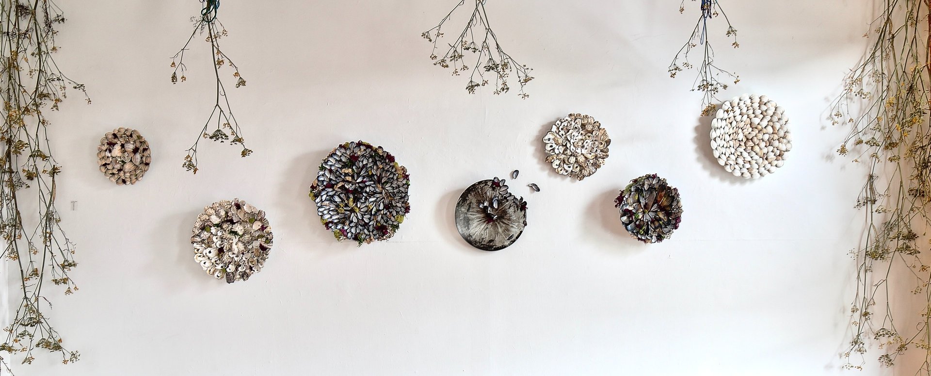 full wall installation of multiple seashell mandalas