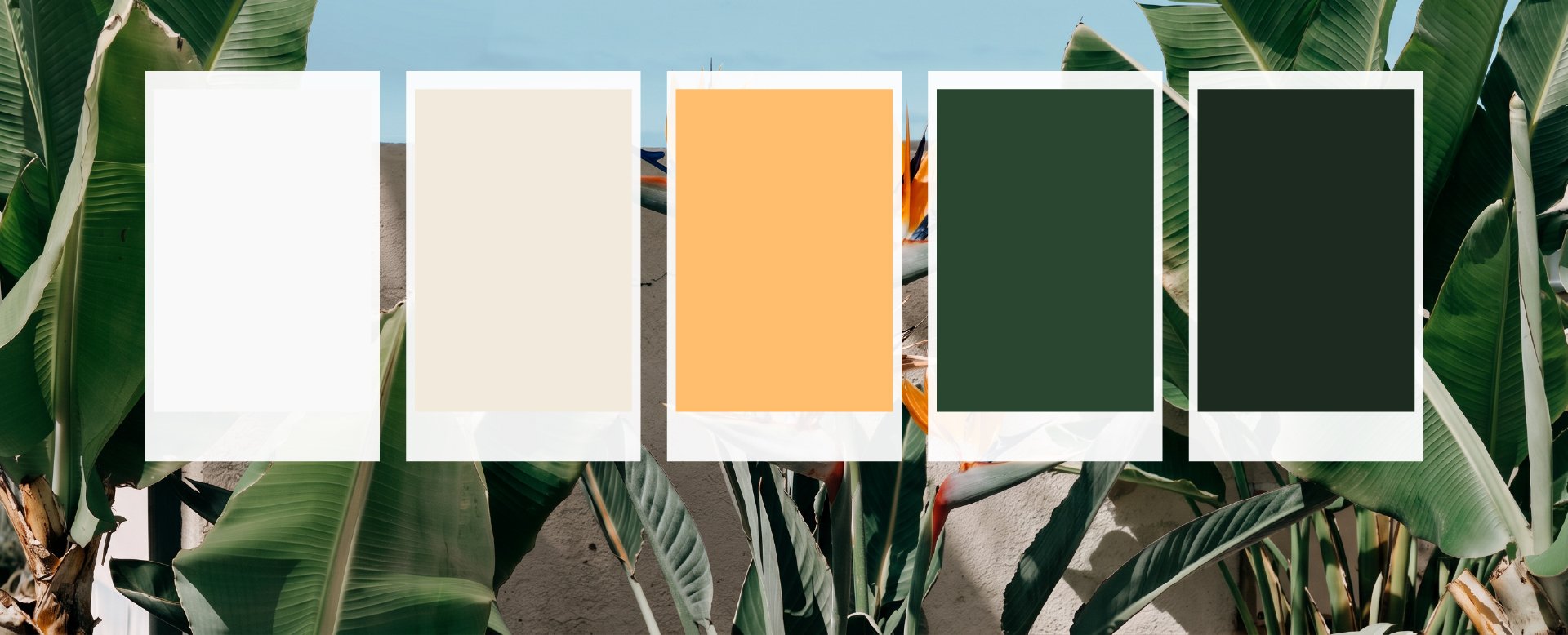 Muestras de la paleta de colores de la marca sobre fondo botánico