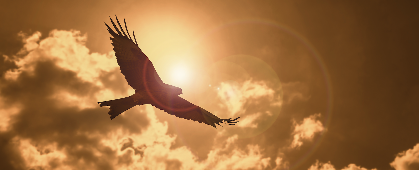 FERS Military options for pension