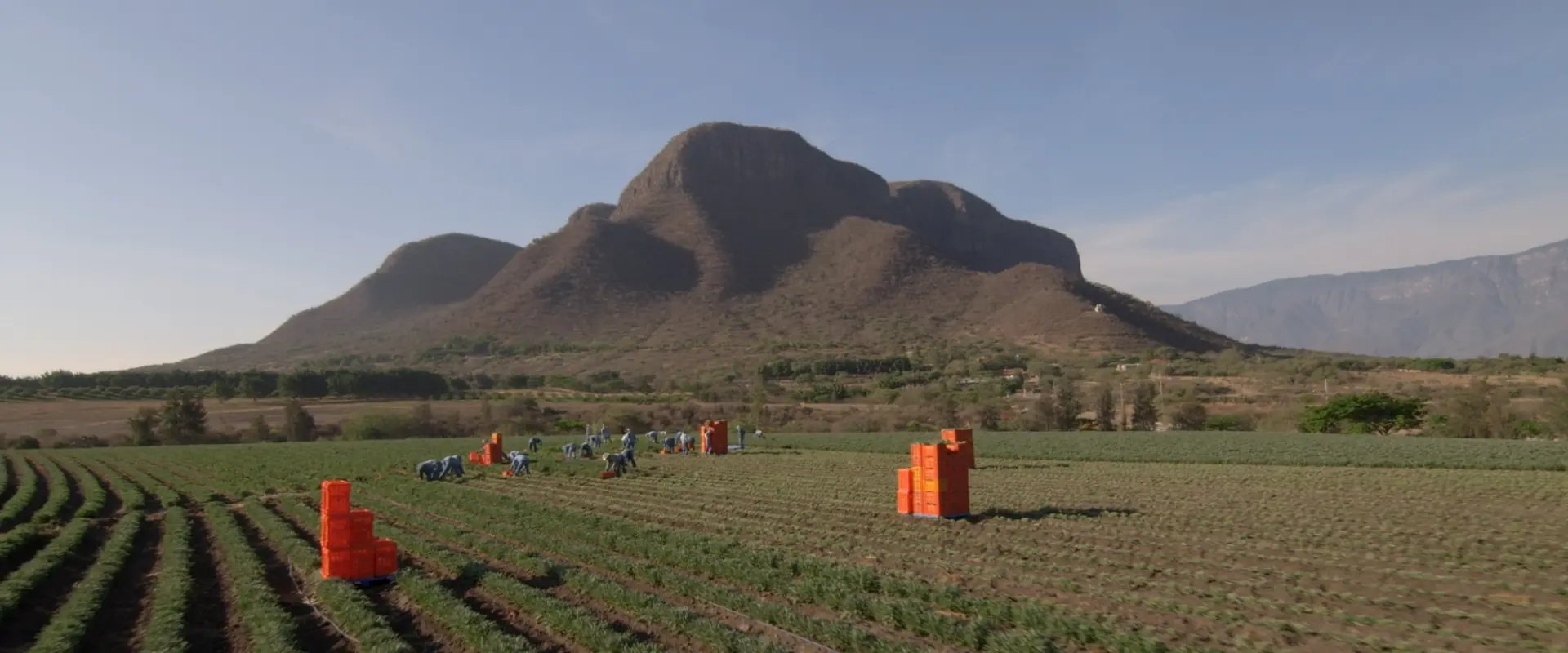Nutrilite El Petacal Farm