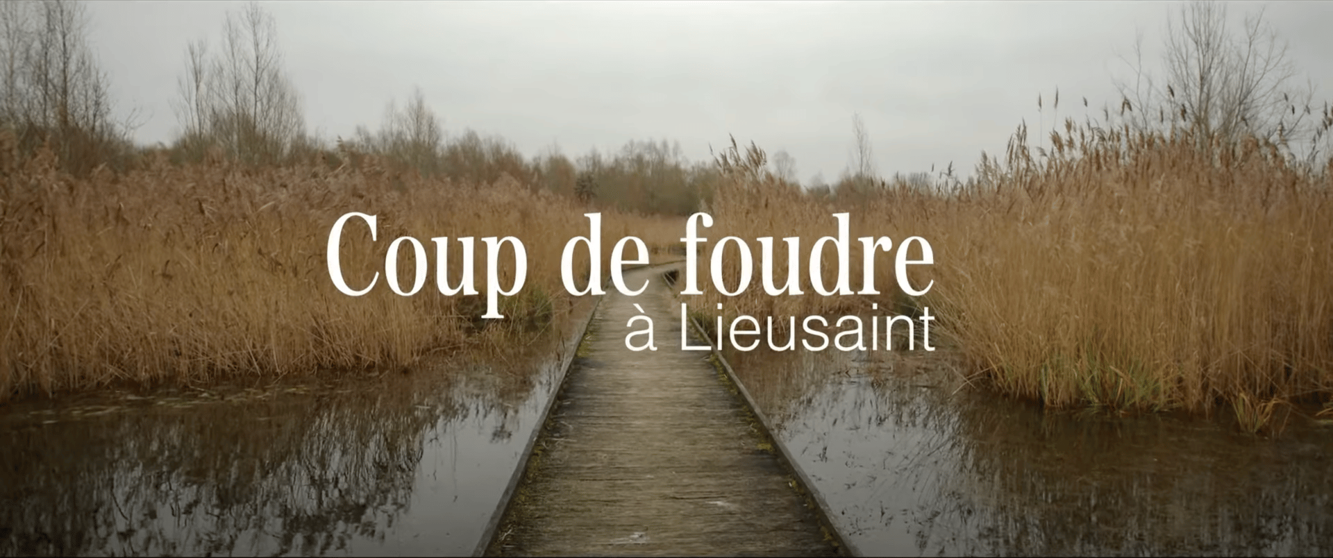Coup de foudre à Lieusaint