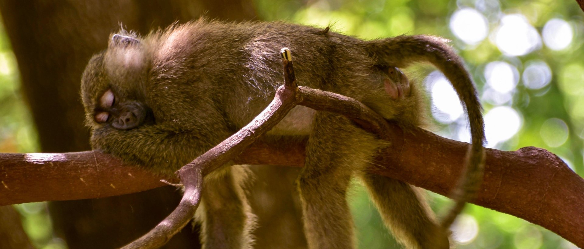 Dormir à l’aéroport