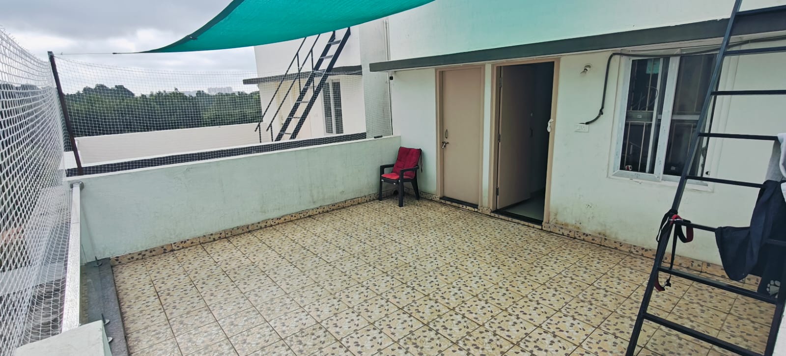 Terrace Area | | Dog Homestay Boarding