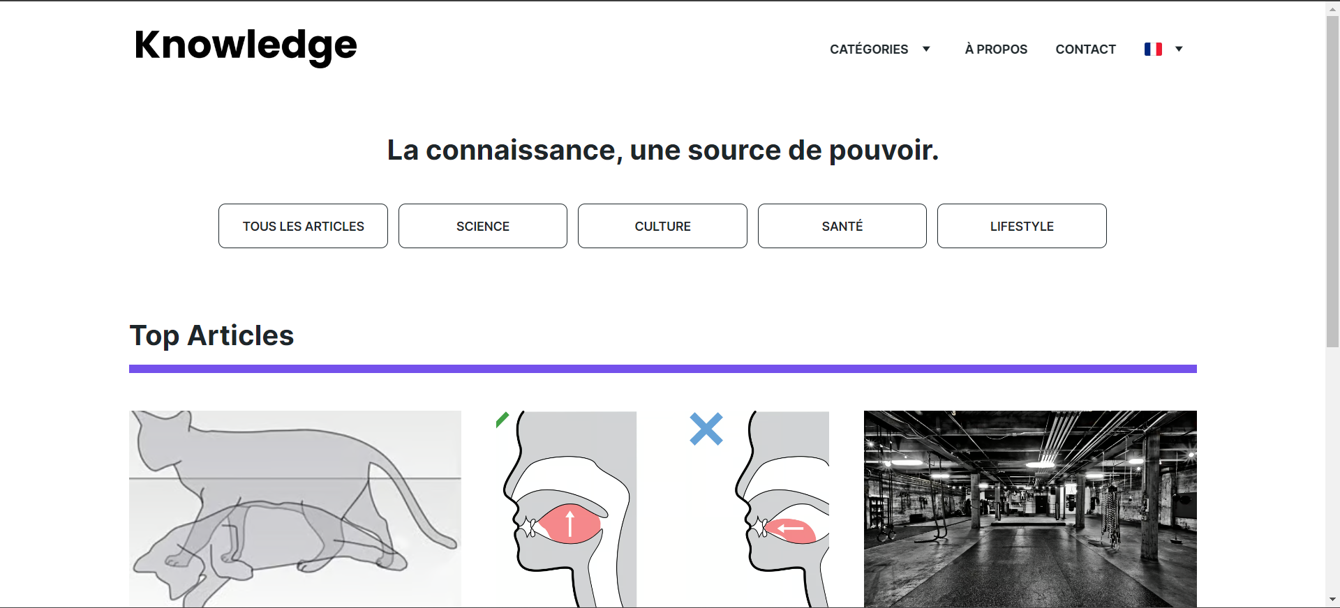 Knowledge site web