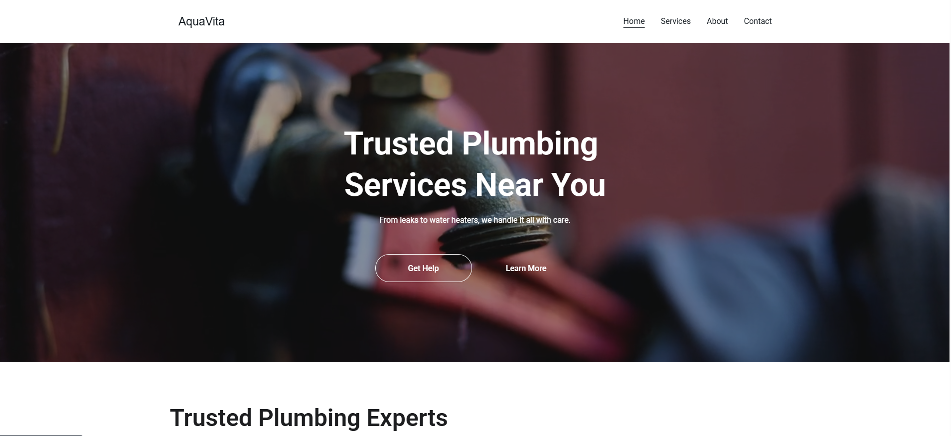 Plumber website designed by Tundra Co. — Michigan