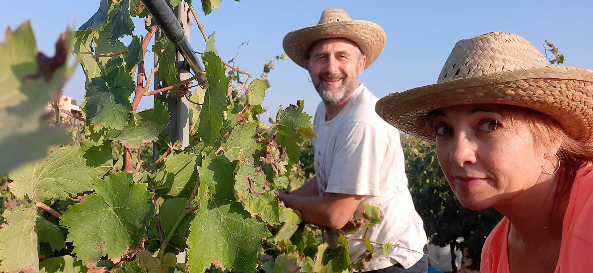 cantina di marsala Alberia