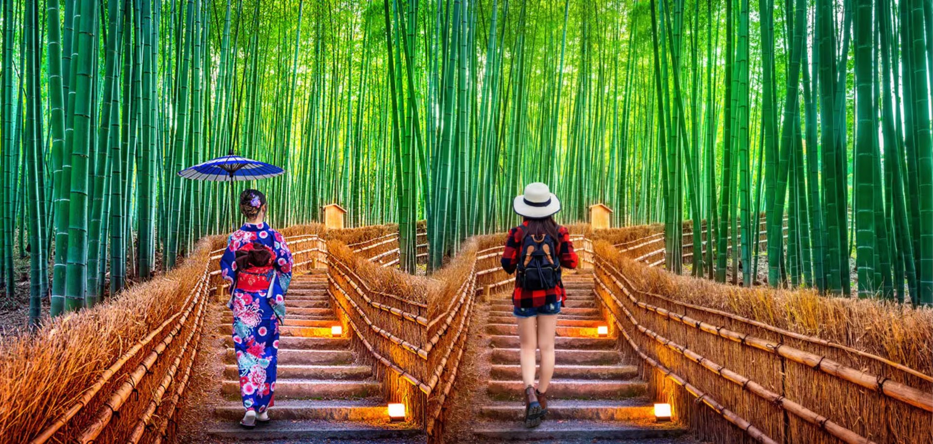 chemin de vie et choix