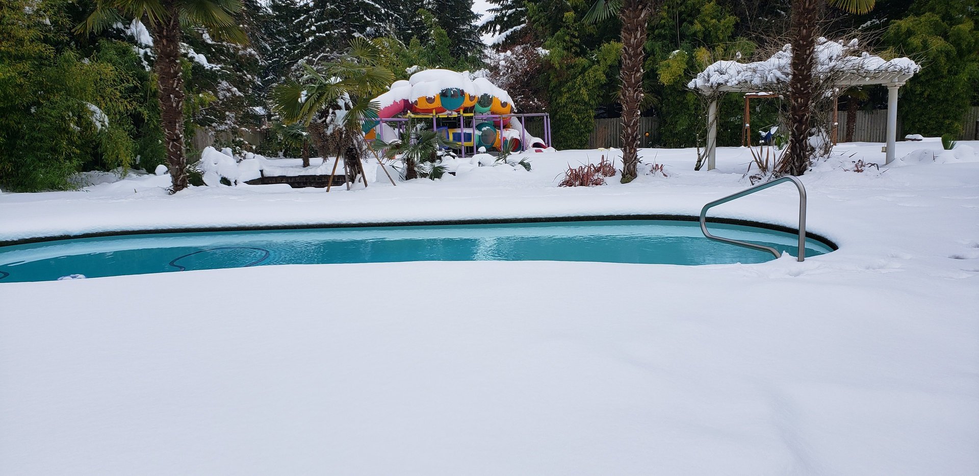 pacific northwest tropics