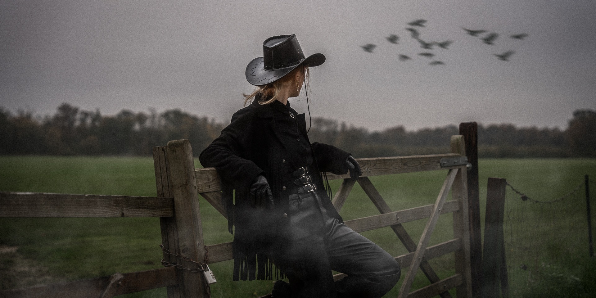 photo annonce nouvelle collection