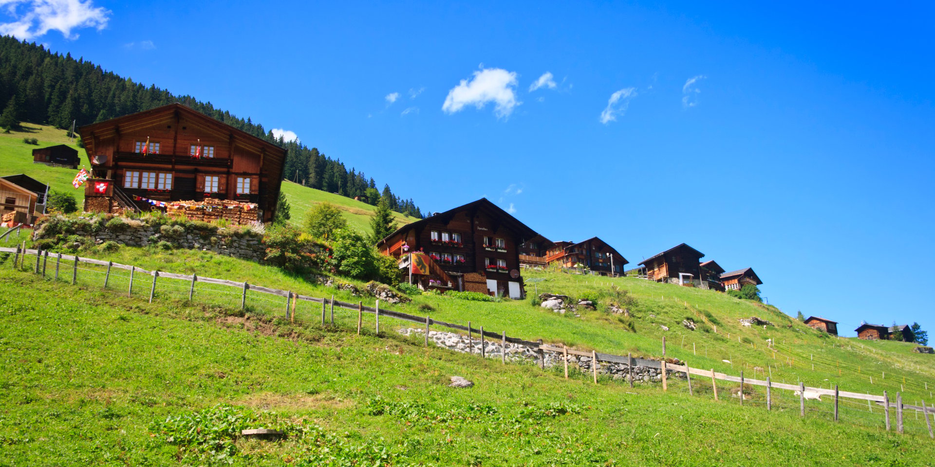 Traditional wooden Swiss chalets nestled on a lush green hillside in the Alps under a blue sky.
