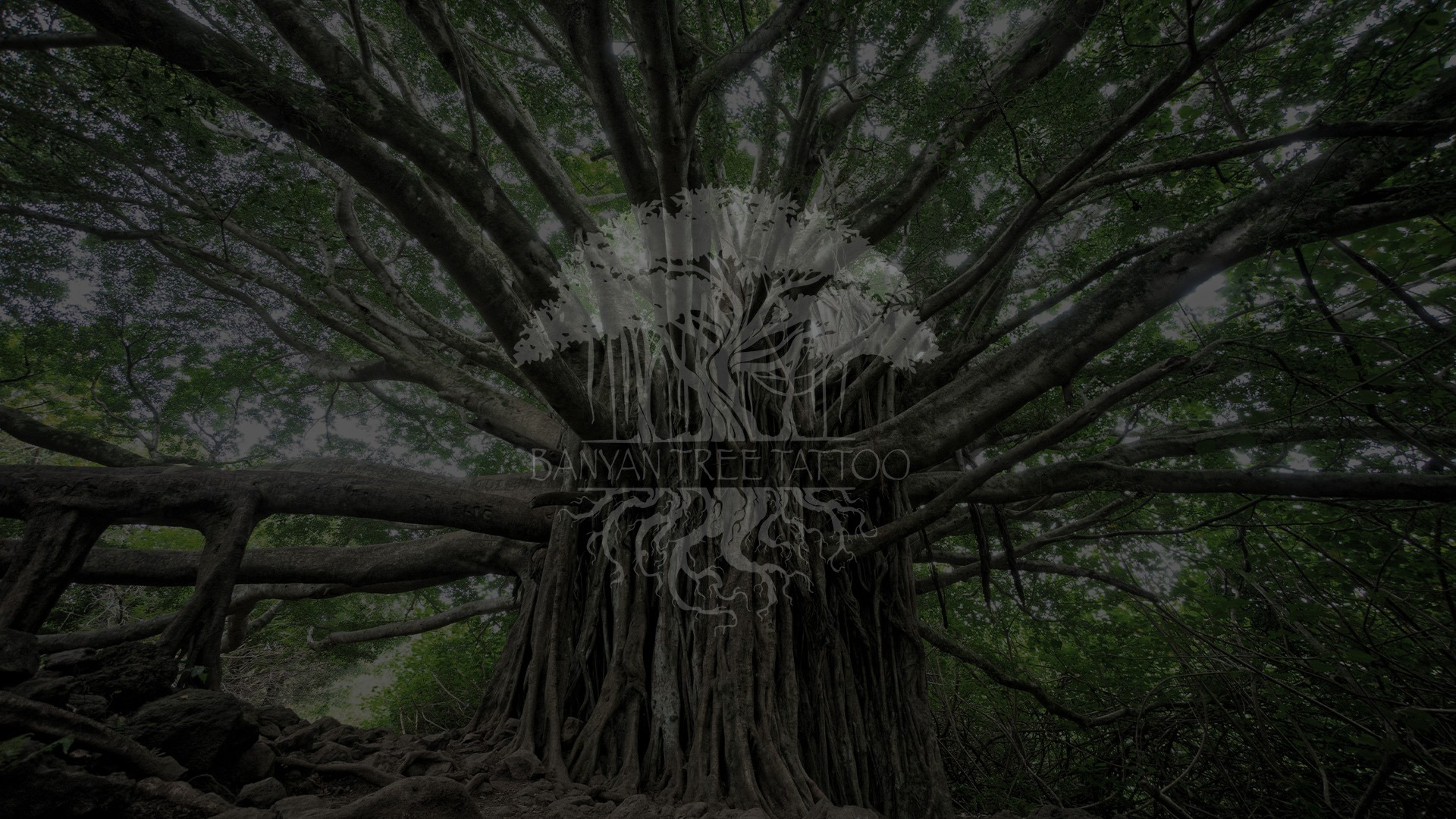 Banyan tree canopy