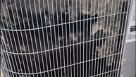 AC unit cleaning