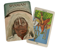 Shaman Ancestral Healing Wisdom