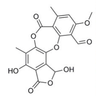 Molécule lichénique – Acide stictique