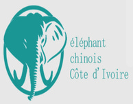 elephant chinois logo