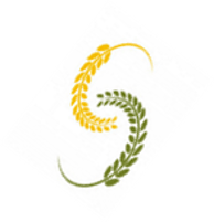 Shin Heung and Hyundai logo
