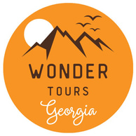 Wonder Tours Georgia logo