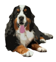 Bernese Garadora Kennel logo
