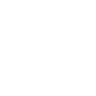 peluzadesign logo