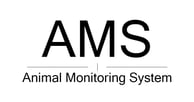 AMSMAP