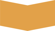 Gold Sponsorship