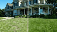 lawn restoration