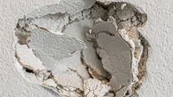 drywall repair