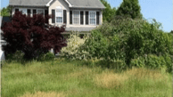 yard clean-up
